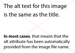 example image is not properly tagged for screen reader
