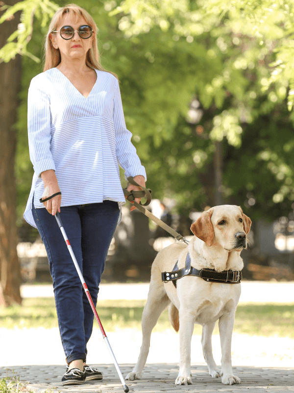 A woman who cannot see using a cane and service dog